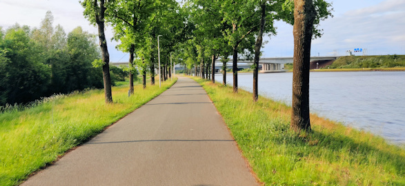 Delphi summit Amsterdam bicycle